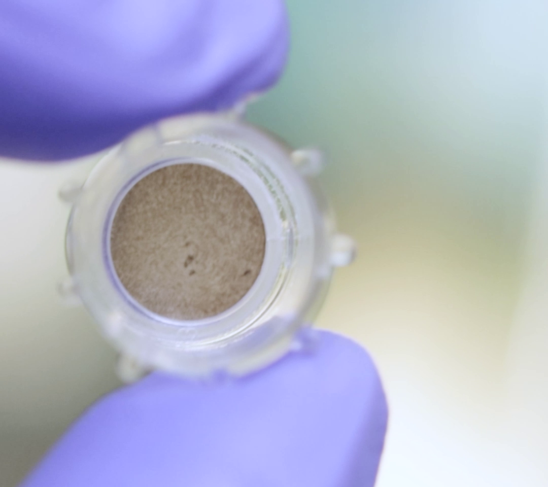 Se cumplen 10 años de investigación fundamental en Bella Aurora Labs